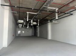 Ang Mo Kio Avenue 6 (D20), Factory #555316041